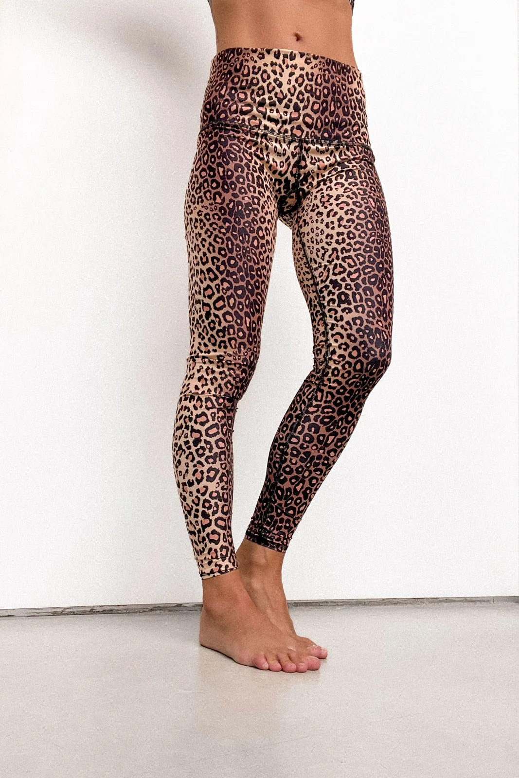 Golden Cat Hot Pant